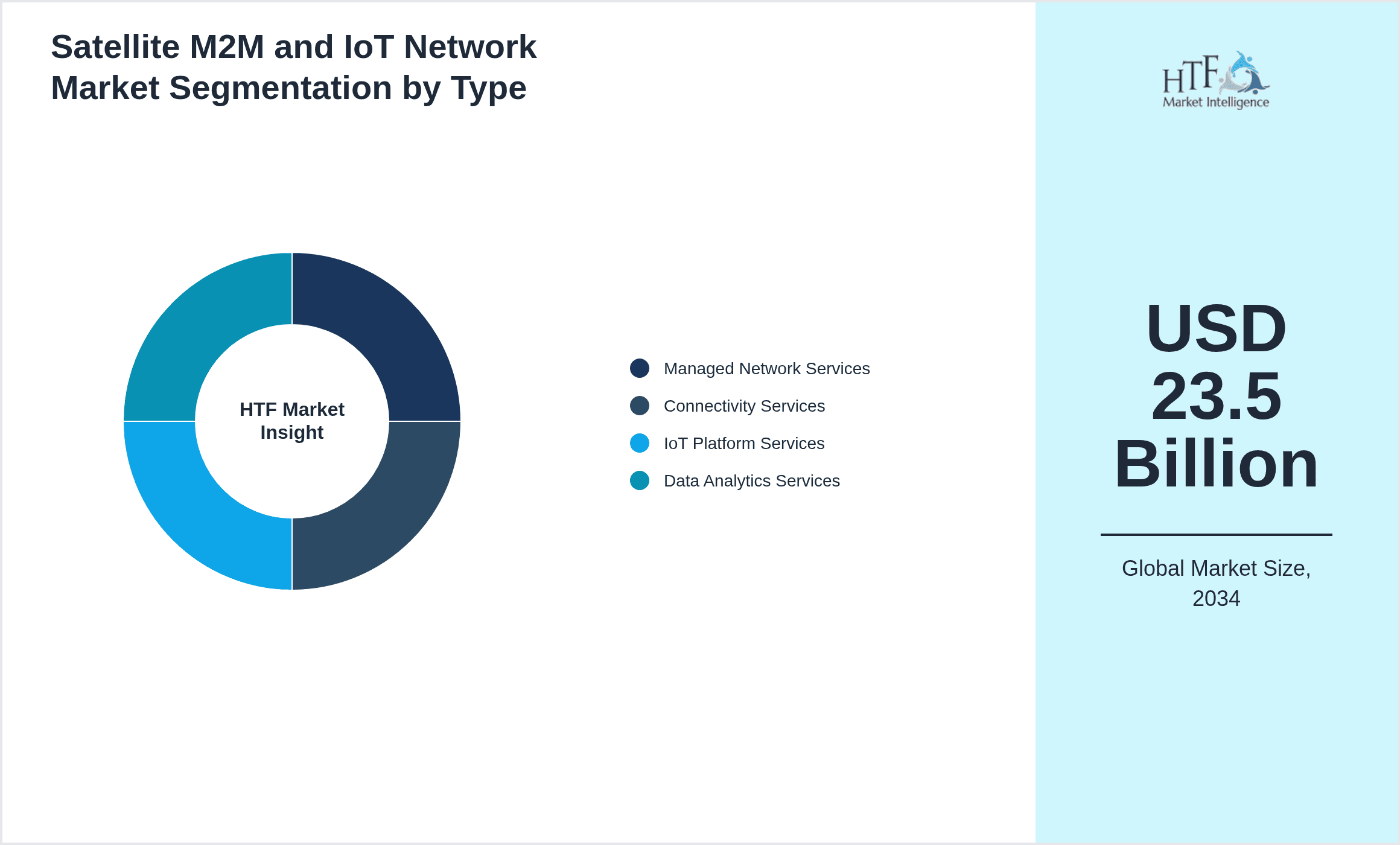 Satellite M2M and IoT Network Market Segmentation by Type