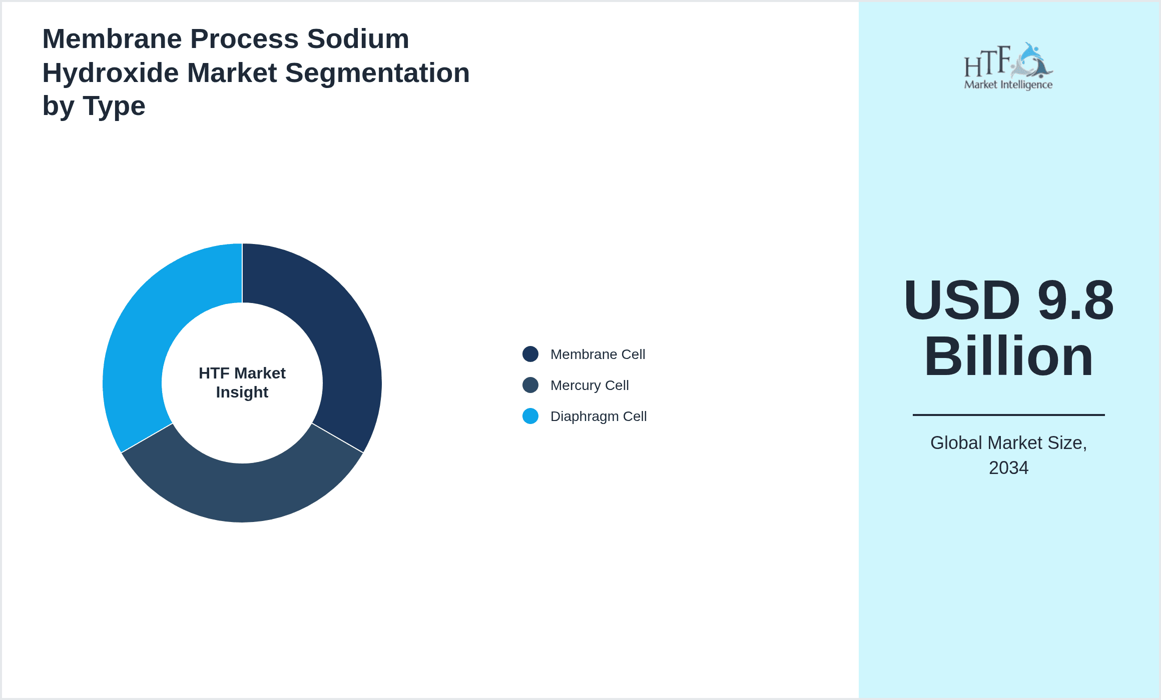 Membrane Process Sodium Hydroxide Market Segmentation by Type
