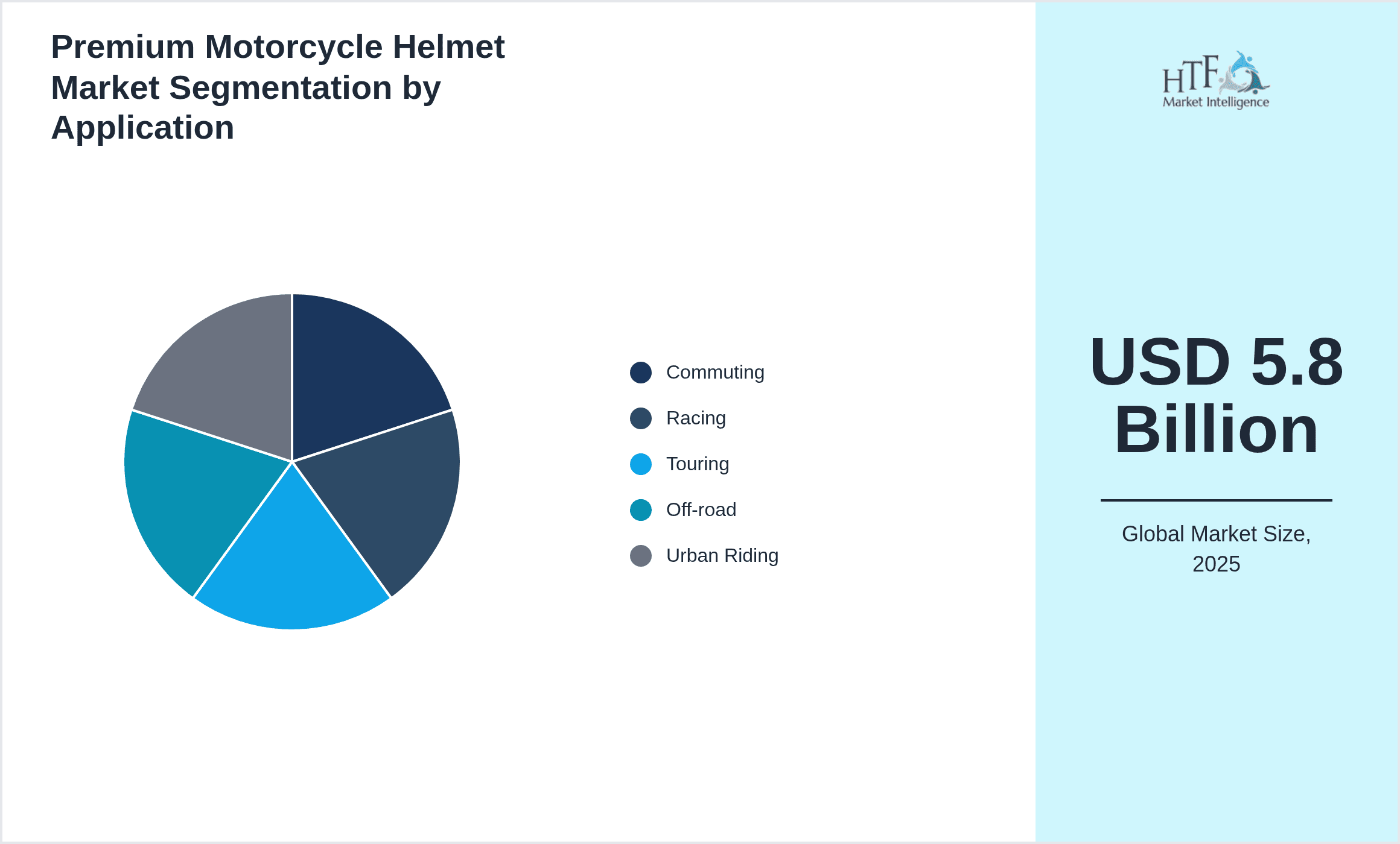 Premium Motorcycle Helmet Market Segmentation by Application