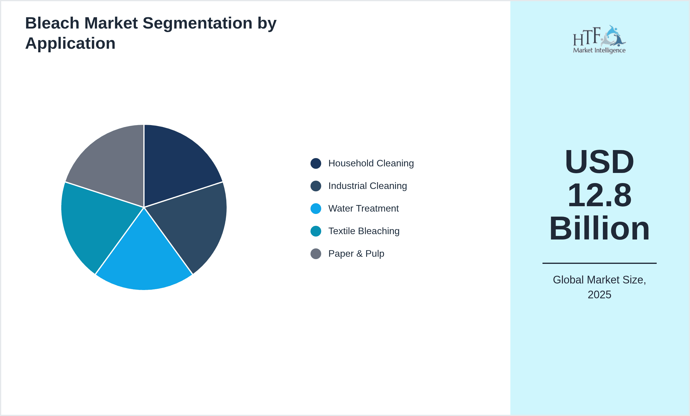 Bleach Market Segmentation by Application