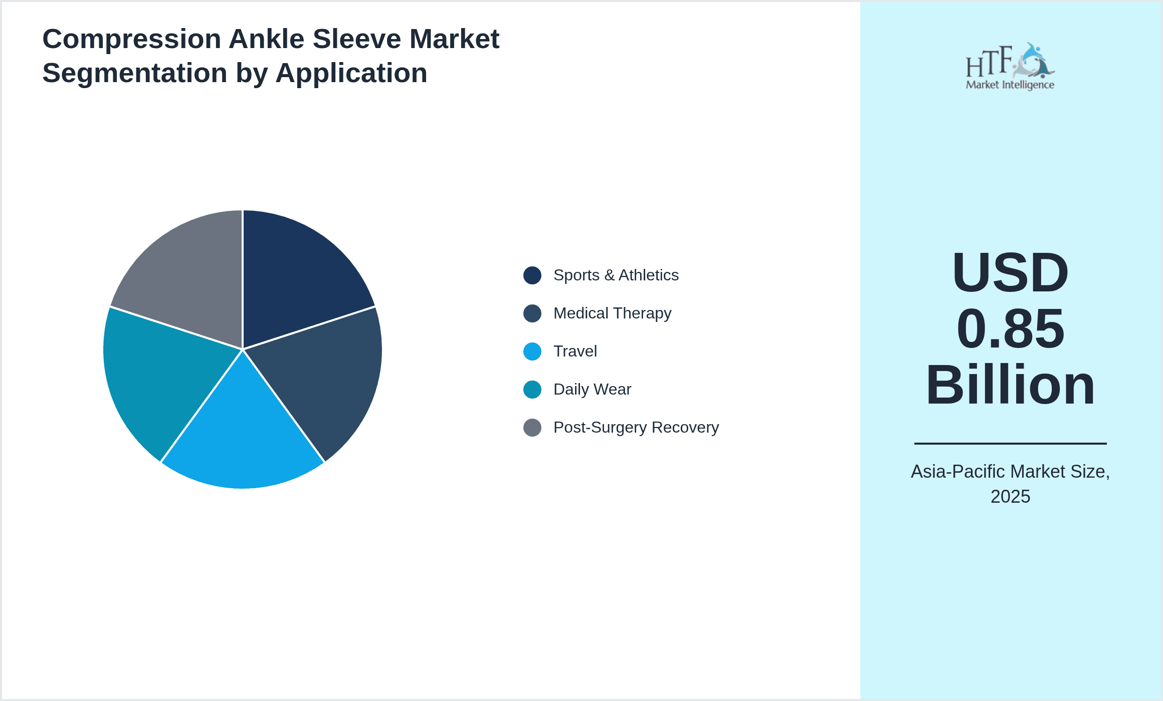 Compression Ankle Sleeve Market Segmentation by Application