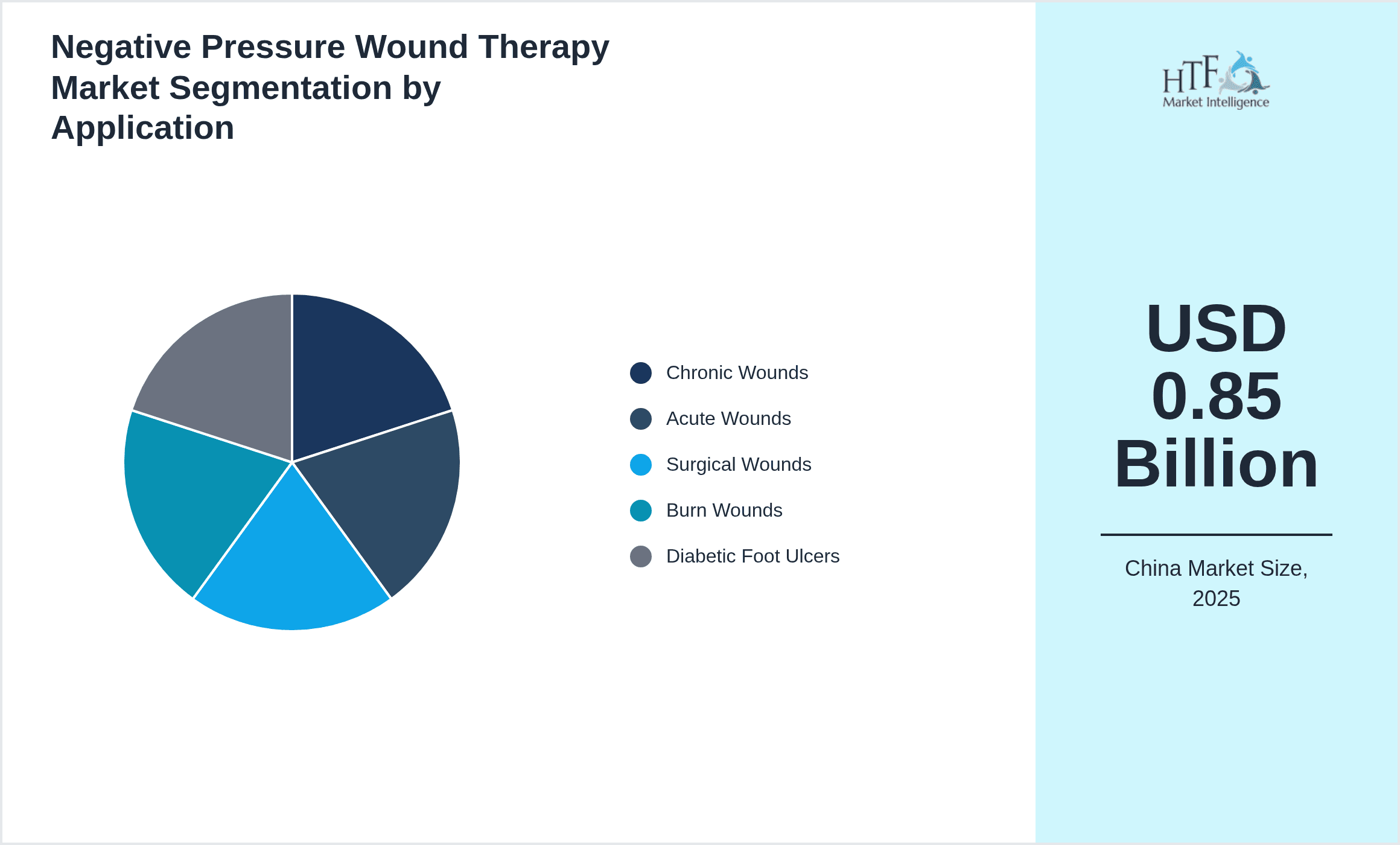 Negative Pressure Wound Therapy Market Segmentation by Application