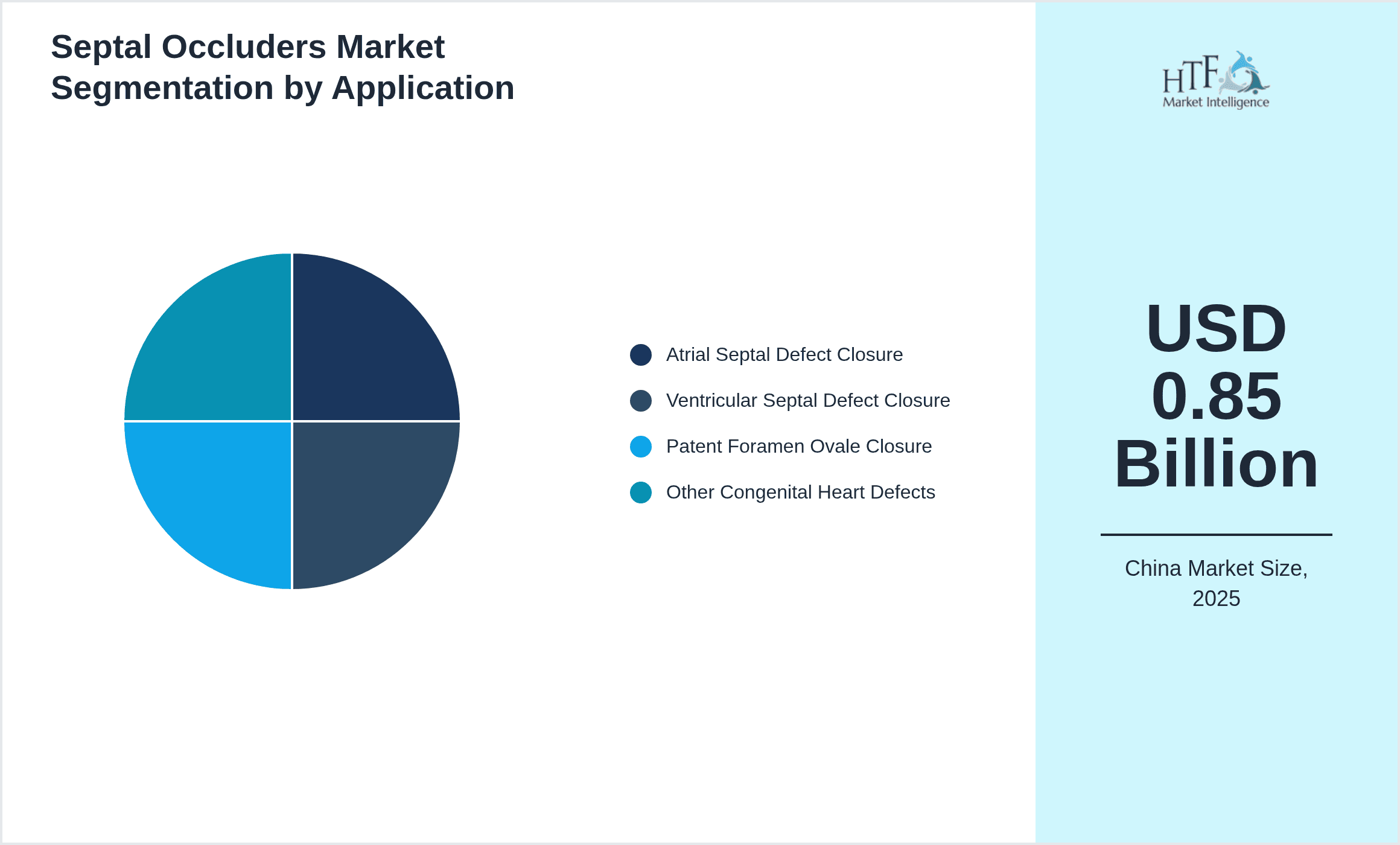Septal Occluders Market Segmentation by Application