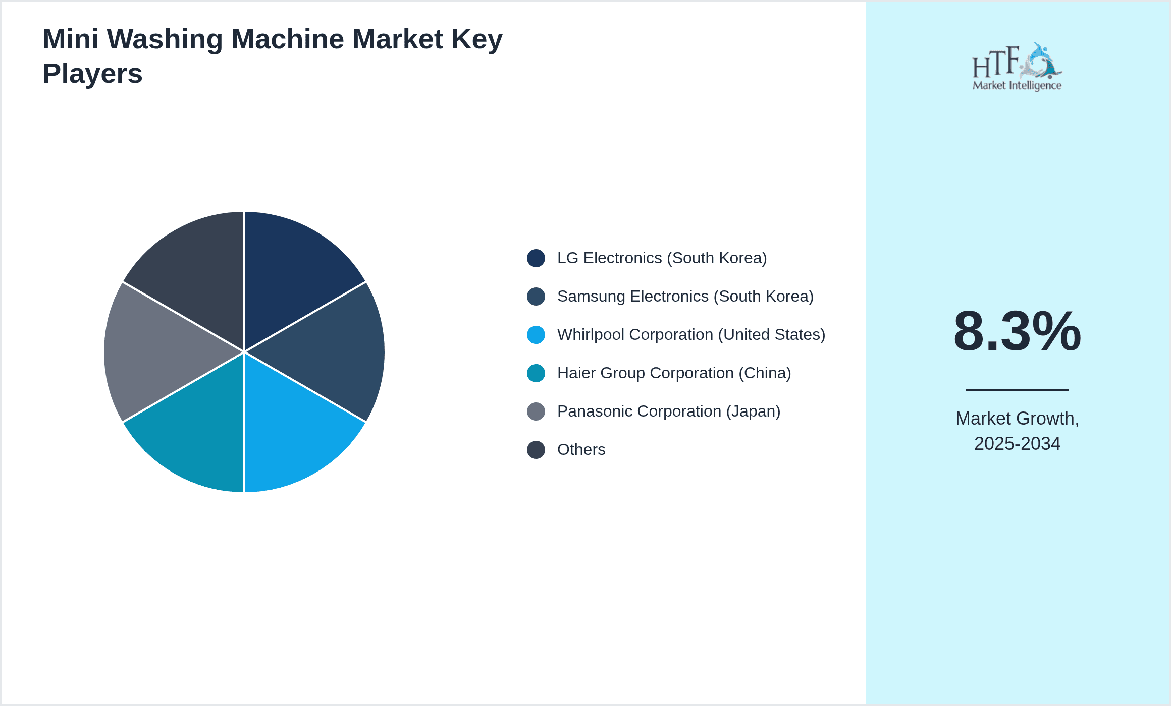 Mini Washing Machine Market Share by Key Players