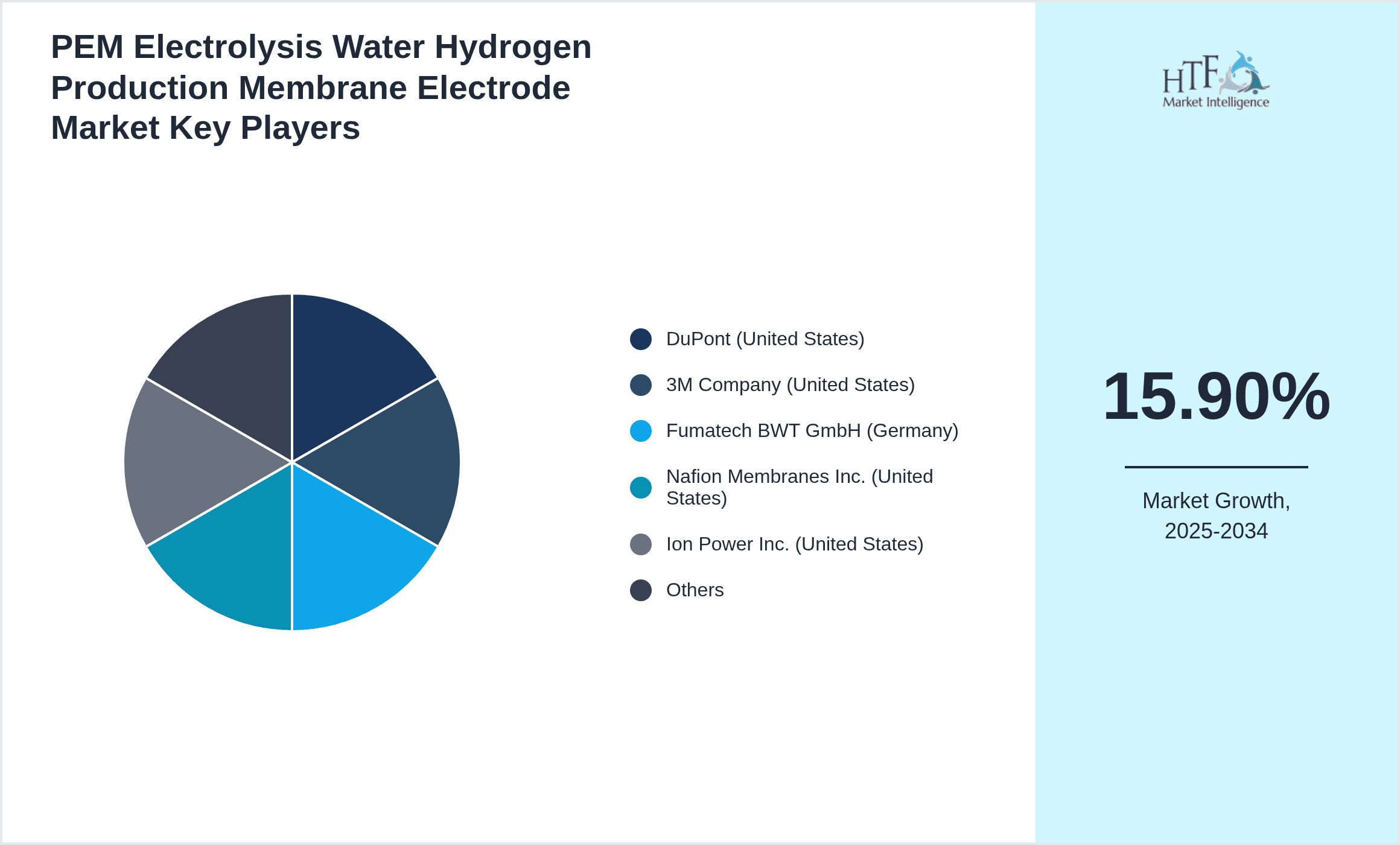 PEM Electrolysis Water Hydrogen Production Membrane Electrode Market Share by Key Players