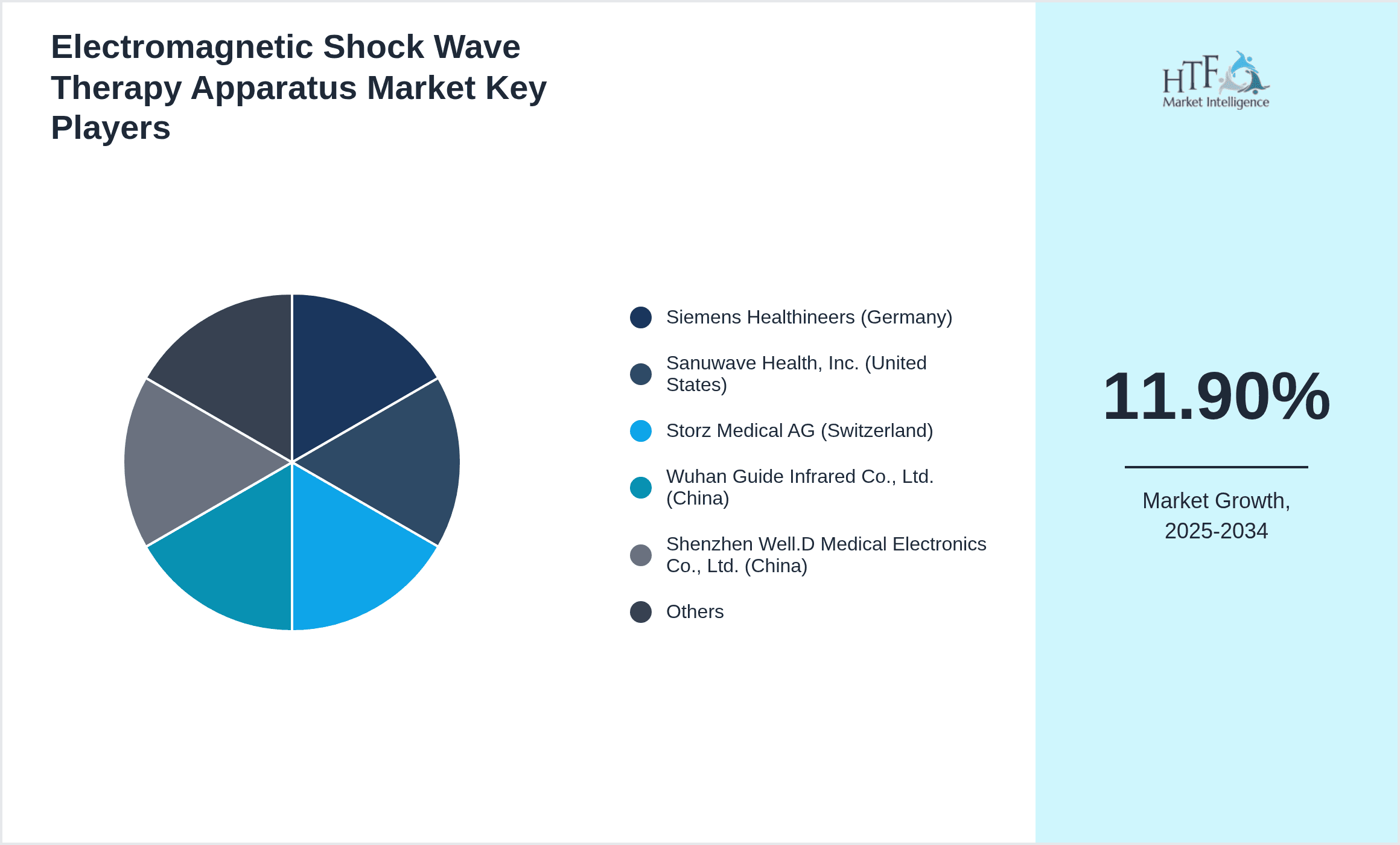 Electromagnetic Shock Wave Therapy Apparatus Market Share by Key Players
