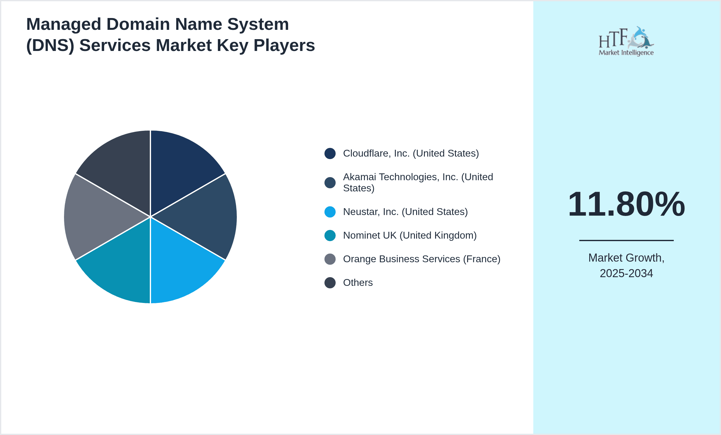 Managed Domain Name System (DNS) Services Market Share by Key Players