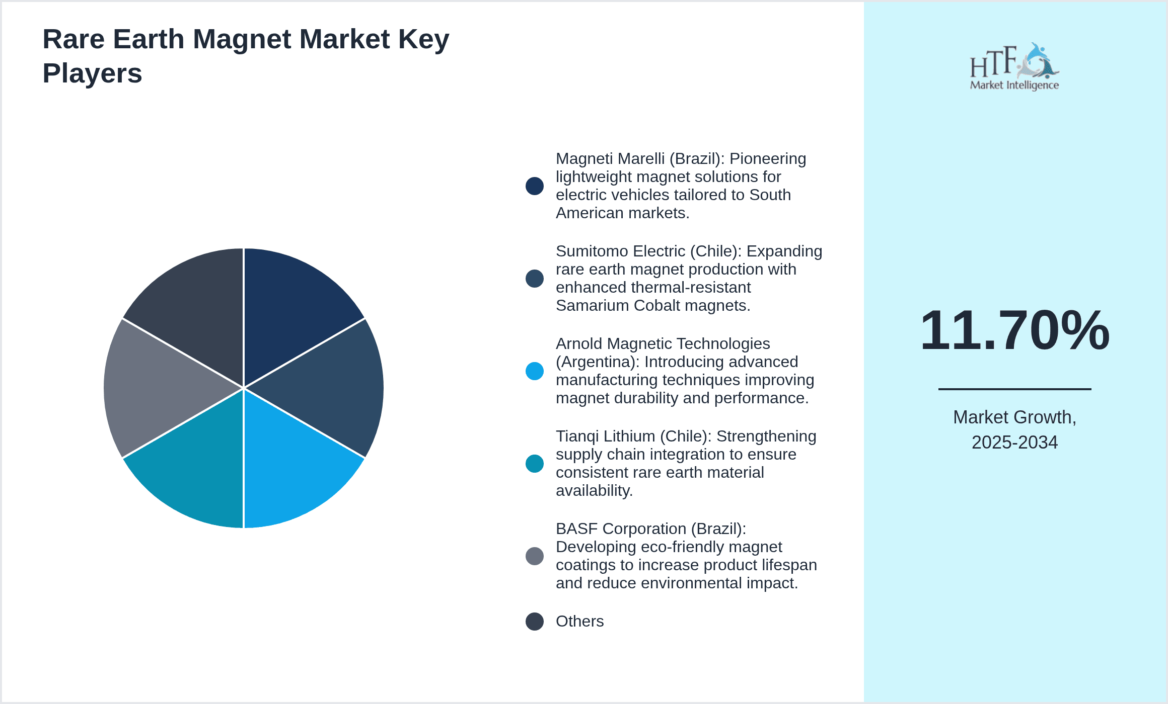 Rare Earth Magnet Market Share by Key Players