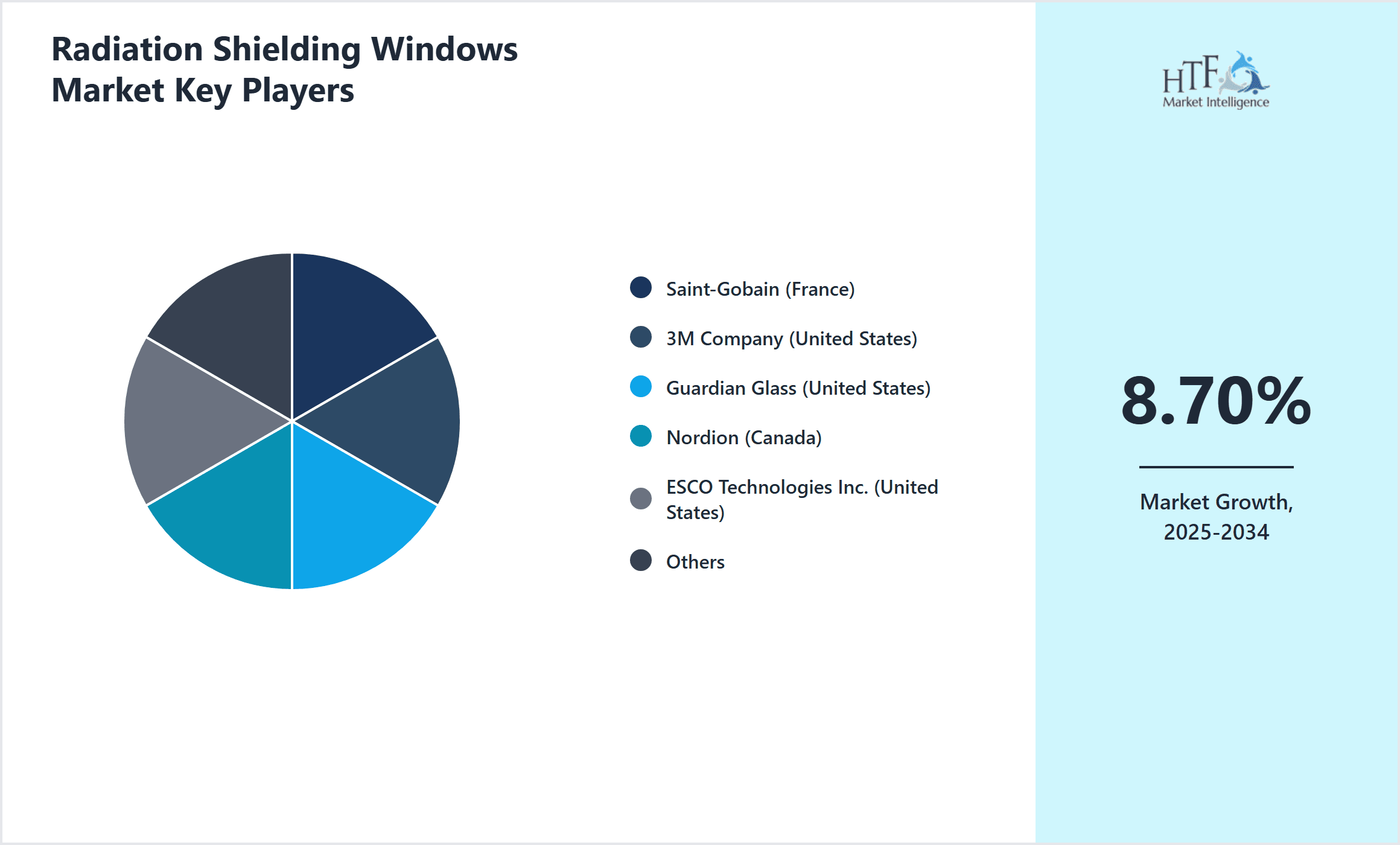 Radiation Shielding Windows Market Share by Key Players
