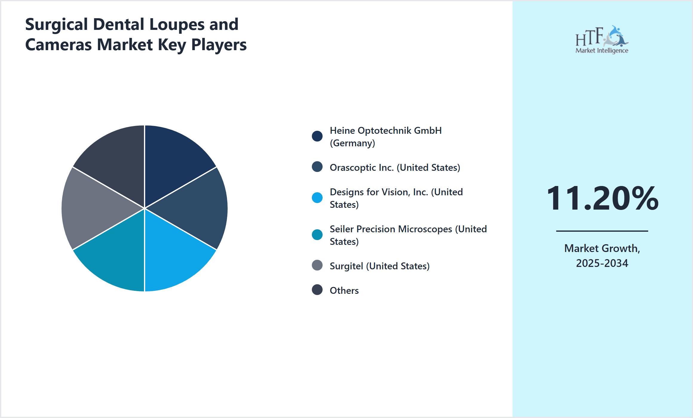 Surgical Dental Loupes and Cameras Market Share by Key Players